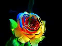 악녀가 된 이유.1