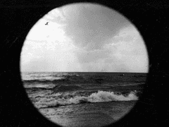 류문주단 [You’re submerged in the sea]