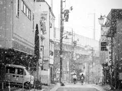 [슬램덩크] 우성명헌 썰 (무제)