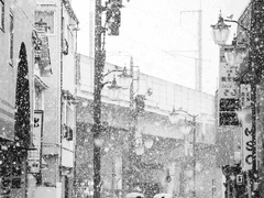 [우성명헌 썰 백업2]