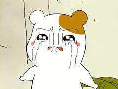 공지 드립니다! [금 -> 토]