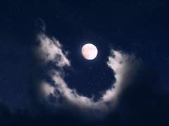 빛을 잃지 않으려 노력하는 소년.