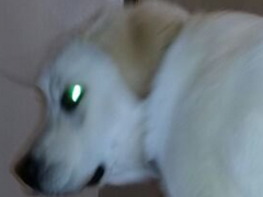 2022/2023 연말연시 - 1