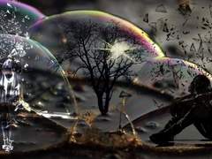 홀로 남겨진 서약