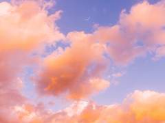 눈이 부시게 맑았던