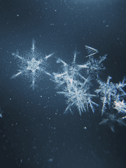 나이트 워커 드림