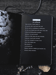 단편 혹은 연작 시