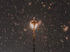 첫눈이 오는 날 다시 만나는 걸로 하자.