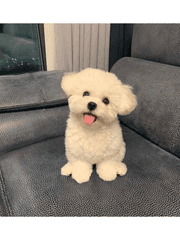 안녕하세요 주인장입니다.