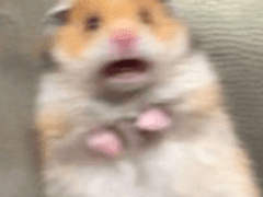 GL소설에 빙의하면 우린 이렇게 살기로 했어요 11