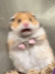 GL소설에 빙의하면 우린 이렇게 살기로 했어요