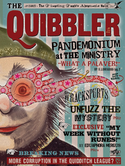 이러쿵저러쿵(The Quibbler)