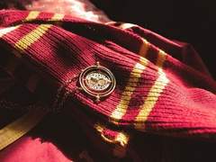 Riley L. Klaus 🔆 Gryffindor