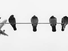 사랑을 알기까지는.