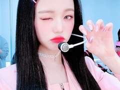 복숭아 폴라필터 판매