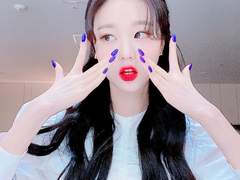 자몽 폴라필터 판매