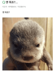 여기서 끝낼지 아니면 더 이어갈지 고민 중임