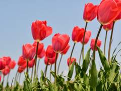 아벨 S. 이클립스/XY/23