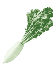 無에서 살고 있습니다.