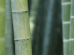 연극이 끝나고 난 뒤