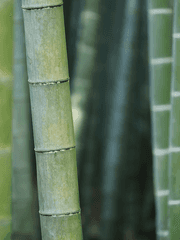 화둔호화구의 술 2기