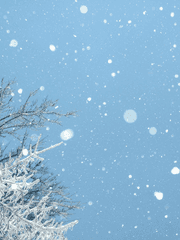 사탕, 꽃, 모두의 달콤한 여름방학!(3.5)