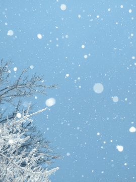 사탕, 꽃, 모두의 달콤한 여름방학!(3.5)