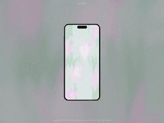 들꽃 구경 | 찬란한 솔잎들 | 라벤더