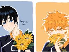 [카게히나] 태양에게