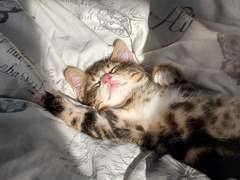 127막내 김여주 모먼트 EP.42