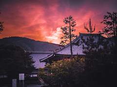 그의 손이 닿는 거리에 9 : 어느 사용인의 이야기