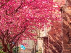 [커미션][승지채하] 이웃과 히어로의 상관관계