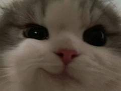 GL소설에 빙의하면 우린 이렇게 살기로 했어요 1