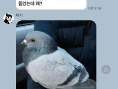 [주술회전] 카피페8