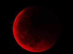 [시즌2] 폭스 아카데미 02