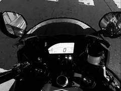 《요한 뮐러 - 생존자》