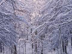 [사공율/27/탐구심]