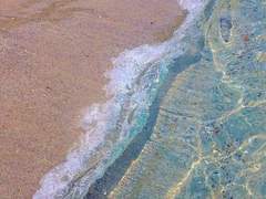 멍청하고 아무도 믿지 못할