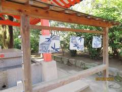 탈색머리 양갈래