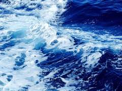 하나, 증명할 것.