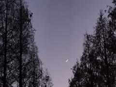 +149, 150 필라테스 못 하는 것도 서러운데