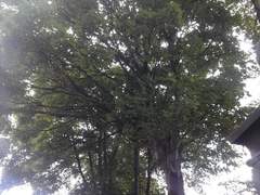 아무것도 모르겠어