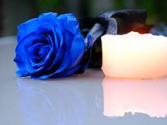 포기하겠습니다