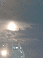 독박육아 로스쿨 도전기