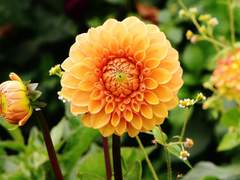 당신에게 전해지기를 바라는 한마디