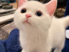 다시 태어난다면? 03