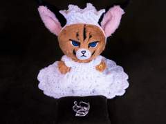 이벤트 당첨 공지