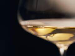 [GL] 주의 대리인 6