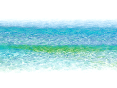 설화 국제 고등학교