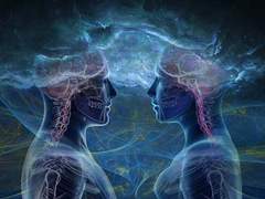 마음은 몸 먹여 살리느라 정신은 없다